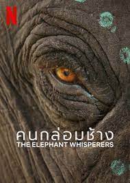 ดูหนังออนไลน์ฟรี The Elephant Whisperers – คนกล่อมช้าง (2022)