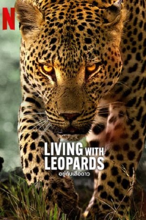 ดูหนังออนไลน์ฟรี Living with Leopards (2024) อยู่กับเสือดาว