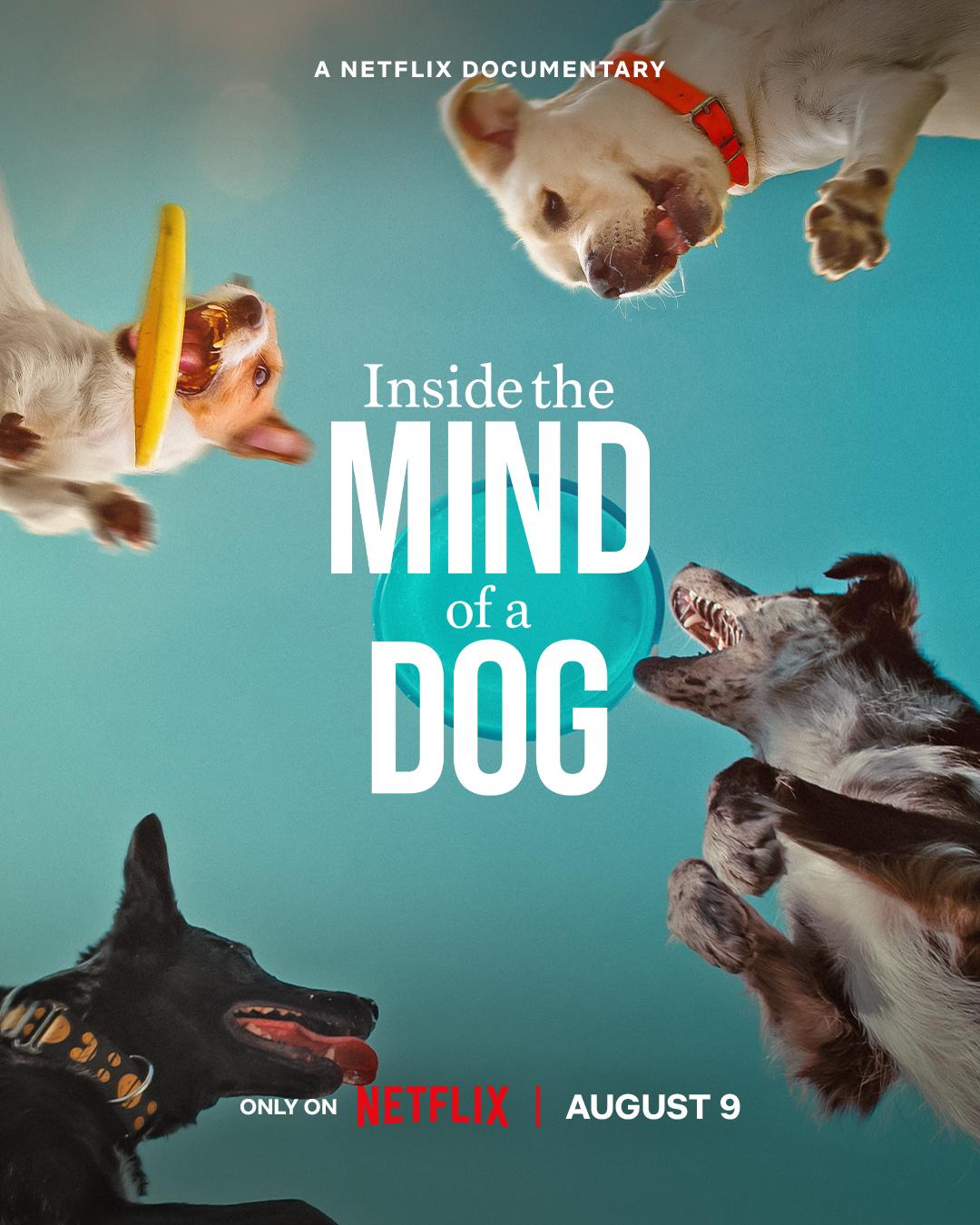 ดูหนังออนไลน์ฟรี Inside the Mind of a Dog (2024) อ่านใจสุนัข